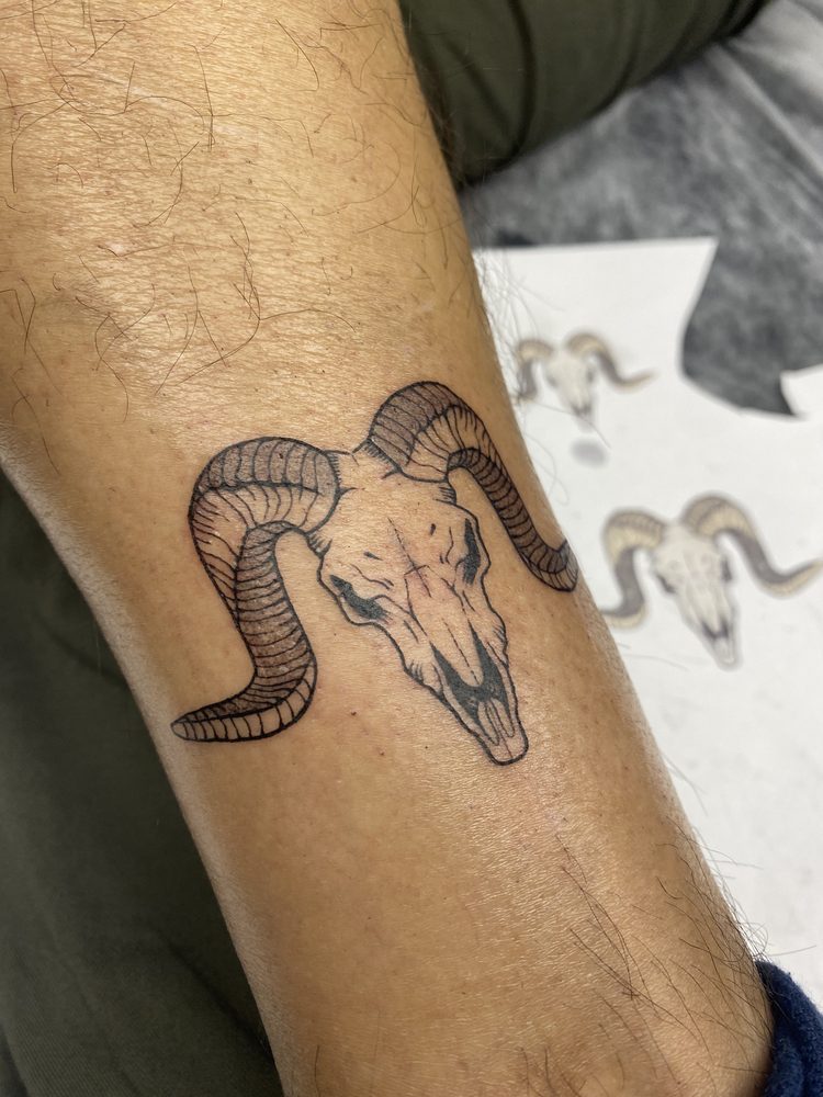Koç Kafatası — Elephant Shop tattoo